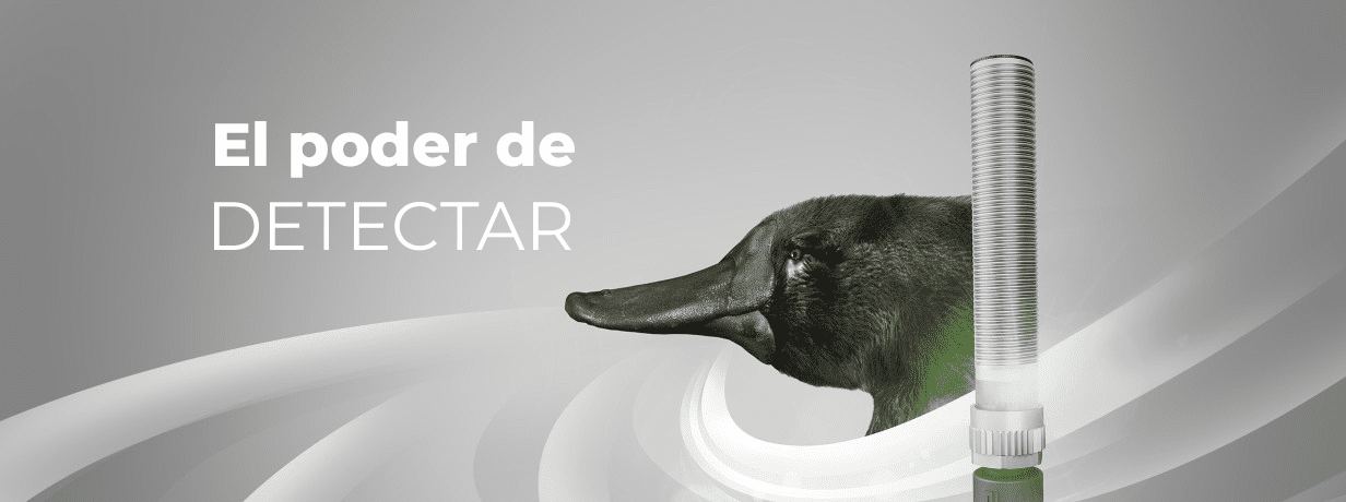 Sensores que lo detectan todo: